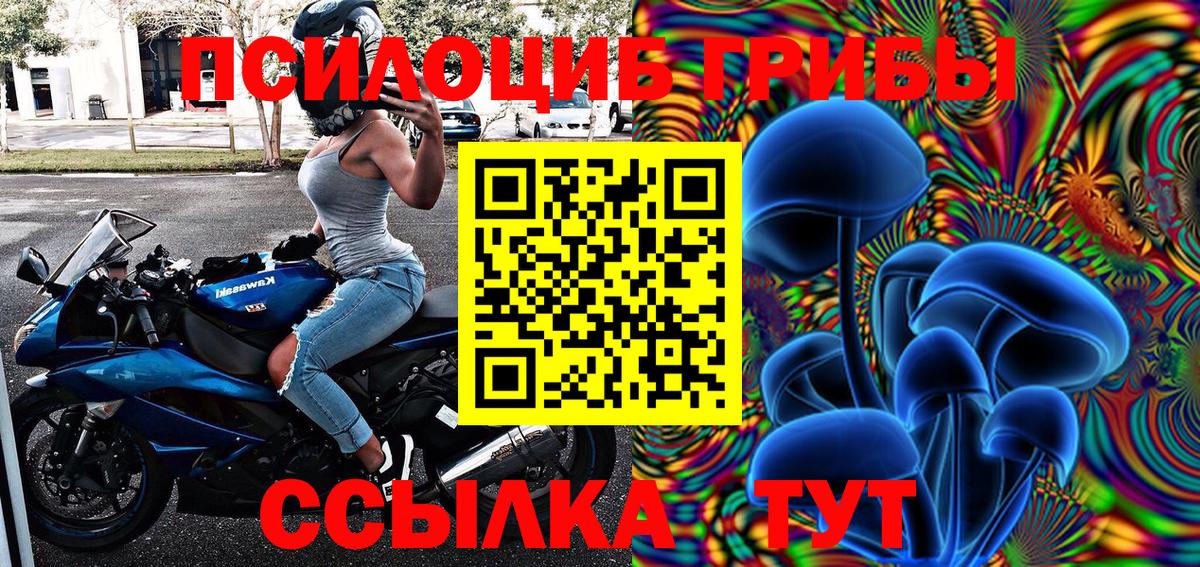 Псилоцибиновые грибы мухоморы  Галлюциногенные грибы Cubensis  Вход с VPN  Сунжа 