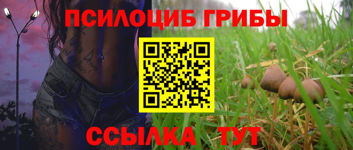 Псилоцибиновые грибы мухоморы Сунжа